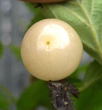 XE@䂷炤߁y1Nz iڂ؁Ef@j