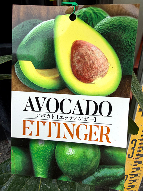 �A�{�J�h�@�y�G�b�e�B���K�[�z�@�^�C�vB�i�ڂ��؁E�|�b�g����j