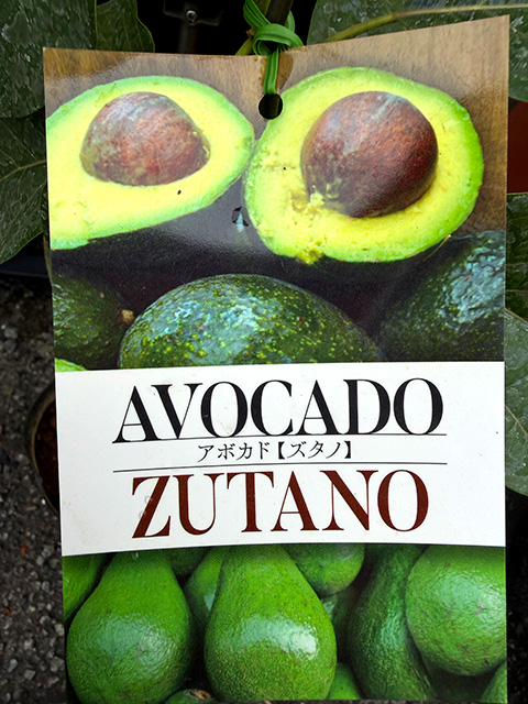 �A�{�J�h�@�y�Y�^�m�z�@�^�C�vB�i�ڂ��؁E�|�b�g����j