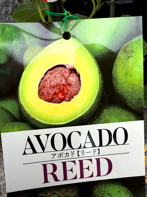 �A�{�J�h�@�y���[�h�z�@�^�C�vA�i�ڂ��؁E�|�b�g����j