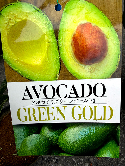 �A�{�J�h�@�y�O���[���S�[���h�z�@�^�C�vA�i�ڂ��؁E�|�b�g����j