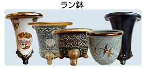 ラン鉢